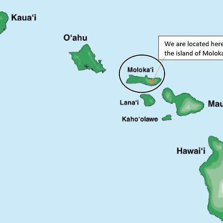 شقة Molokai Island Retreat With Beautiful Ocean Views And Pool - Newly Remodeled! Ualapue المظهر الخارجي الصورة