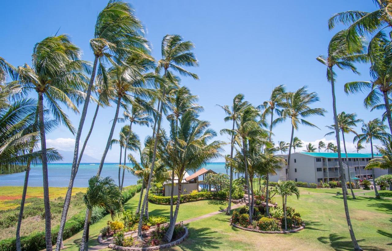 شقة Molokai Island Retreat With Beautiful Ocean Views And Pool - Newly Remodeled! Ualapue المظهر الخارجي الصورة