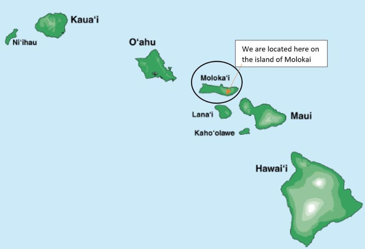 شقة Molokai Island Retreat With Beautiful Ocean Views And Pool - Newly Remodeled! Ualapue المظهر الخارجي الصورة